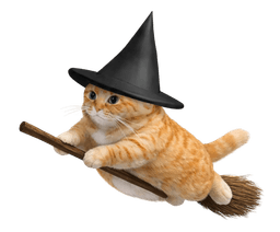 Cat on broomstick